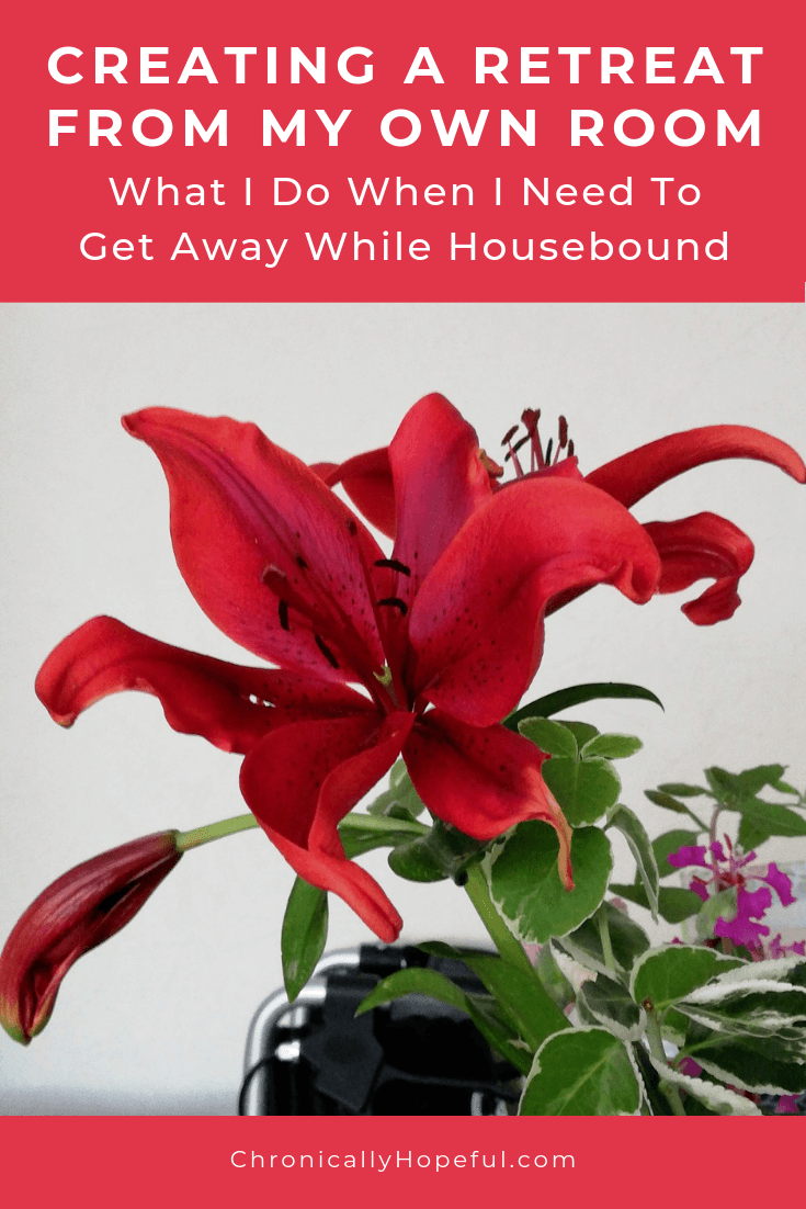 A beautiful red Lily. Title reads: Creating a retreat away from my own room. What I do when I need to get away while housebound.