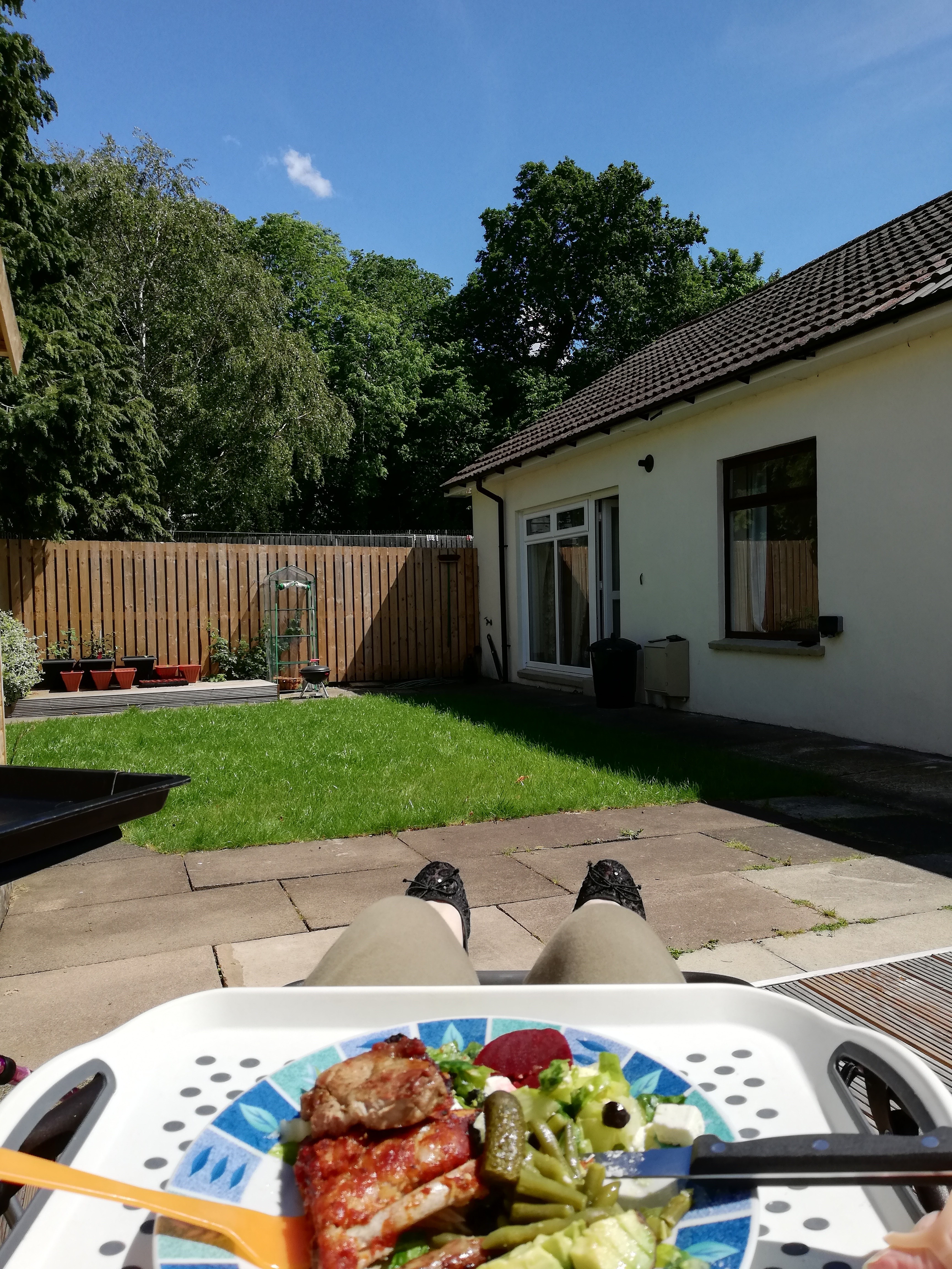 Char's view while lying on the garden recliner. You can see her feet and her plate of food. In the distance a patch of grass, wooden fence and trees in the distance.