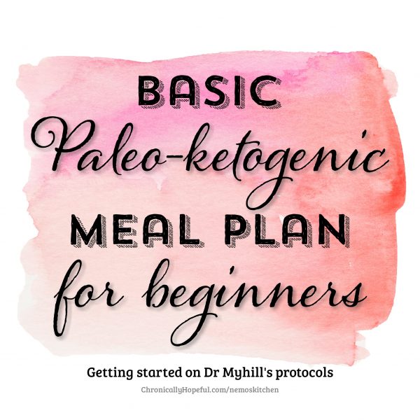 Meal Plan For Beginners