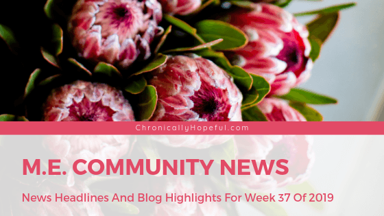 Picture of large pink proteas, Title reads: M.E. Community News, News headlines and blog highlights from week 37 of 2019