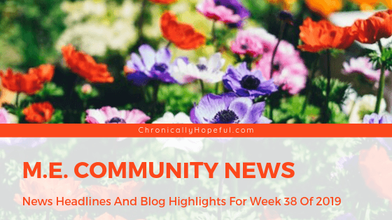 Picture of colourful wildflowers in a field, Title reads: M.E. Community News, News headlines and blog highlights from week 38 of 2019