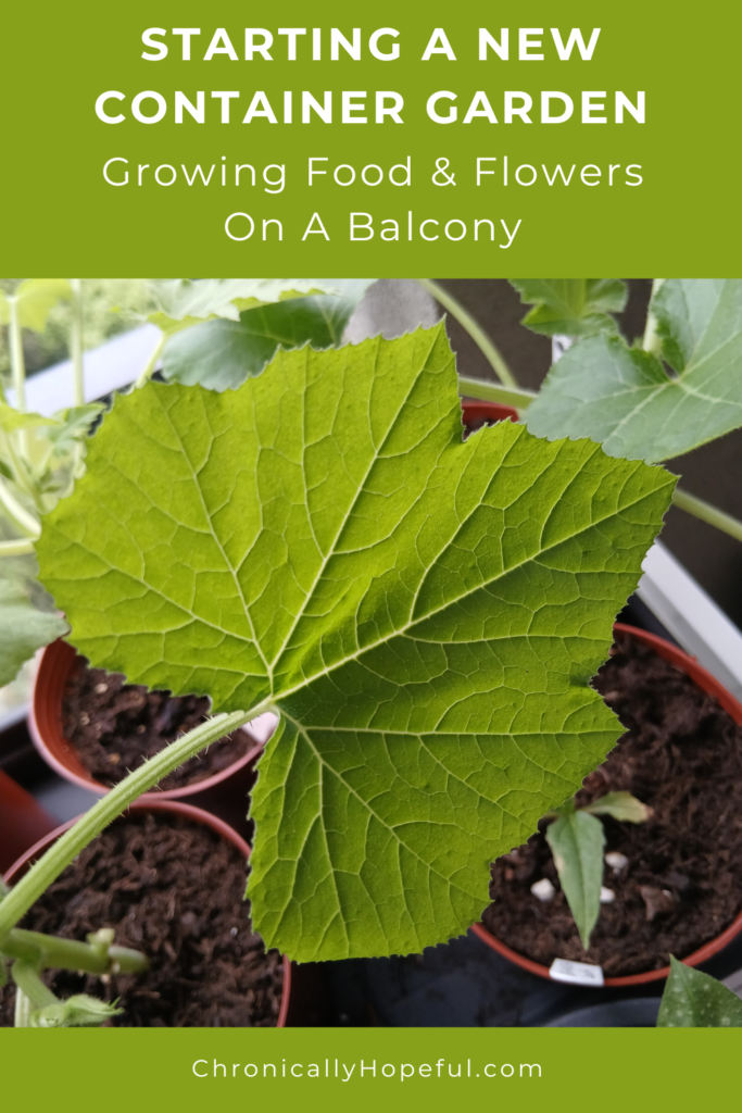 Starting The Garden, Pinterest Image