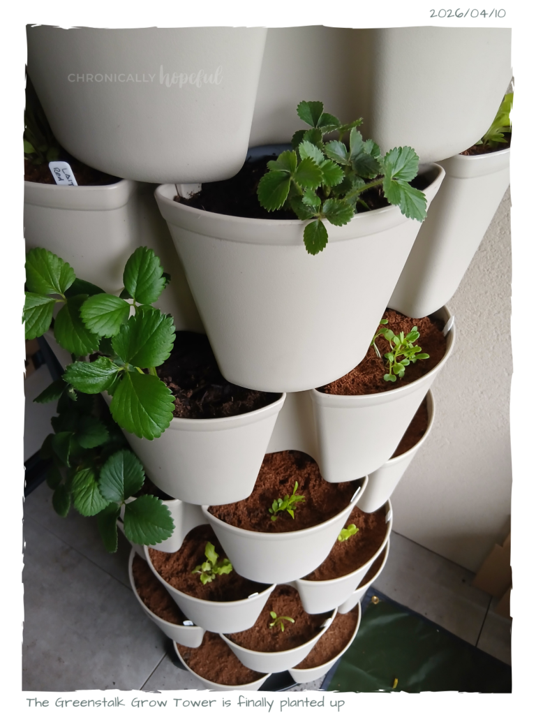 Greenstalk Grow Tower Planted Up