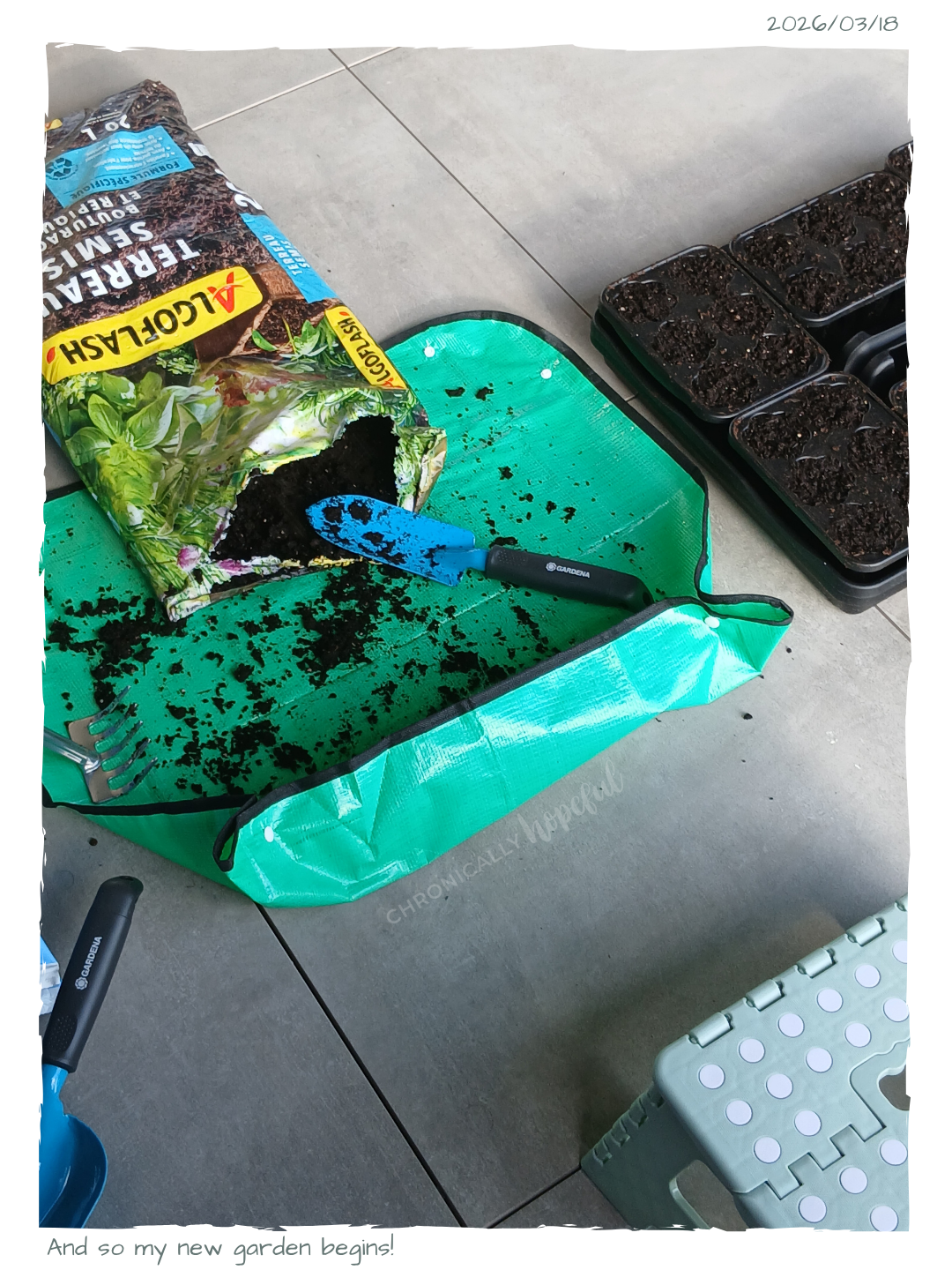 Filling first seed tray with soil
