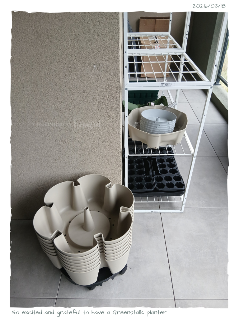 Wire shelves with gardening equipment and seed trays