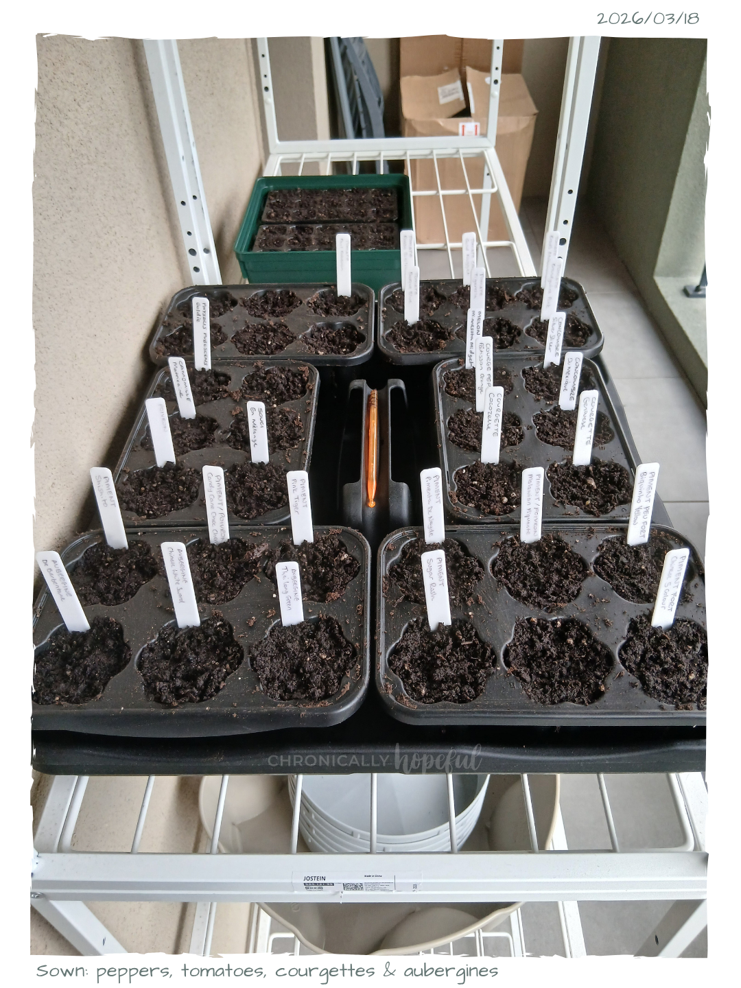 Heat loving crops sown