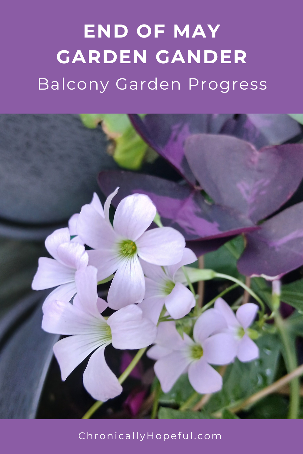 May Garden Tour, Pinterest