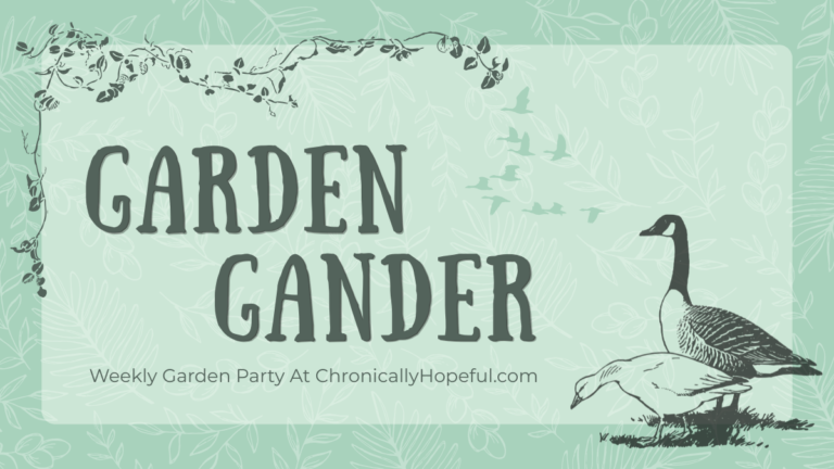 Garden Gander Link Party