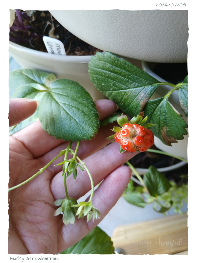 Funky strawberries