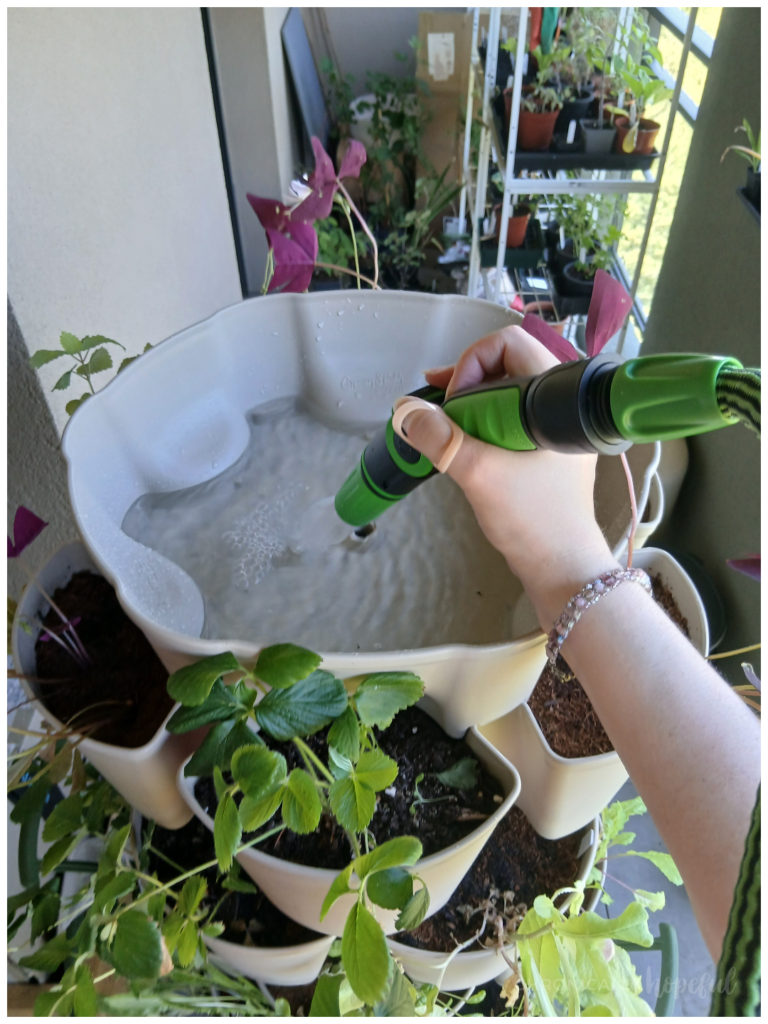 Watering the Garden