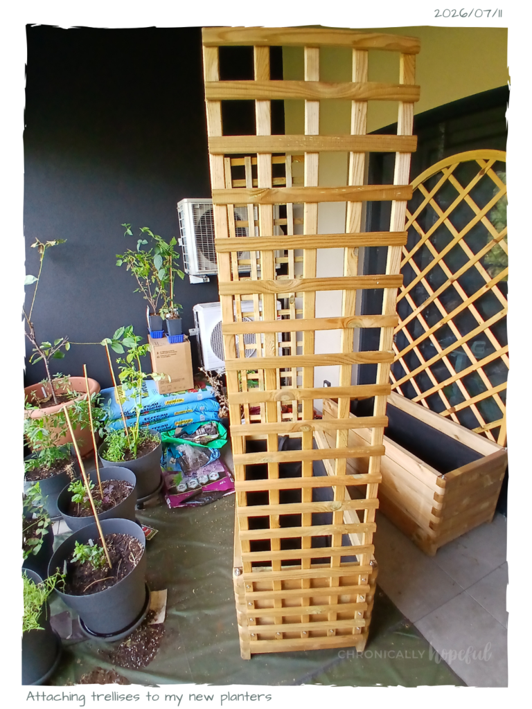 Attaching trellises to planters