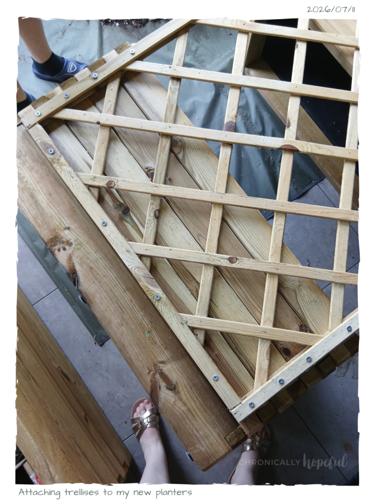 Attaching trellises to planters