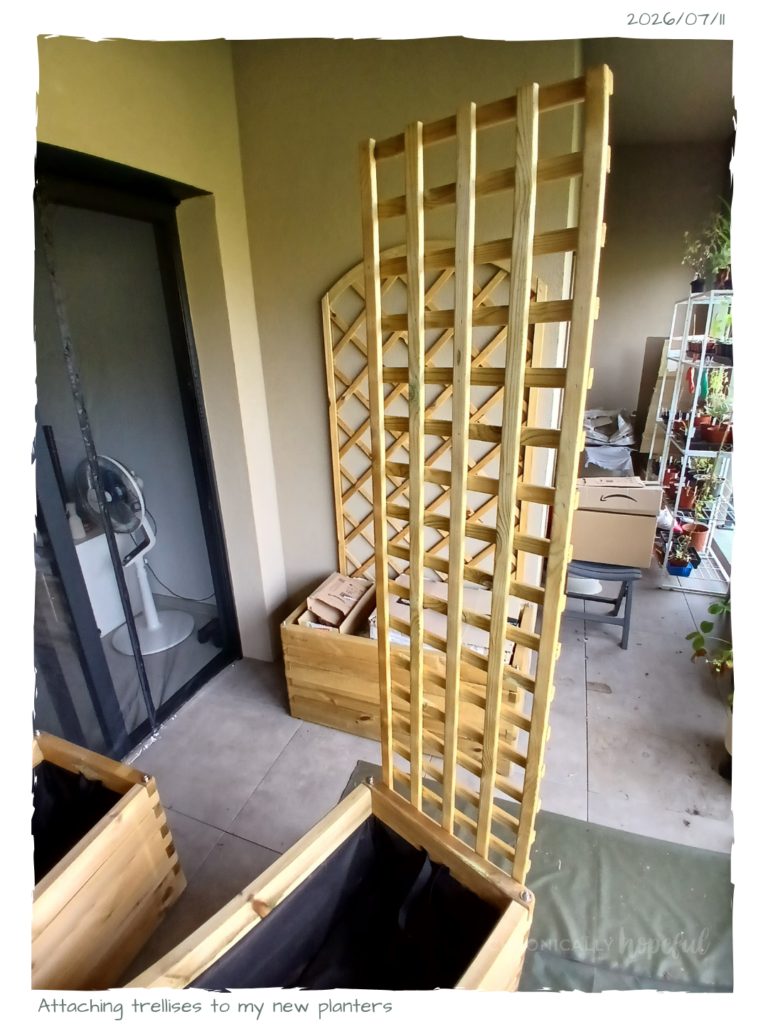 Attaching trellises to planters