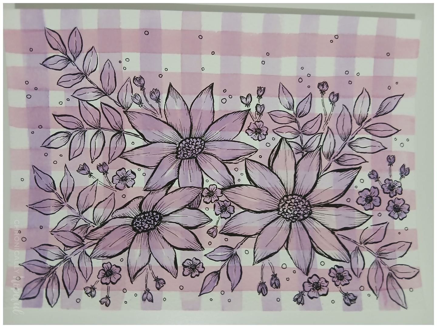 Echinacea flowers on gingham