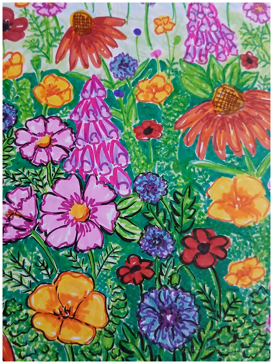 Adding black outlines to drawn flowers