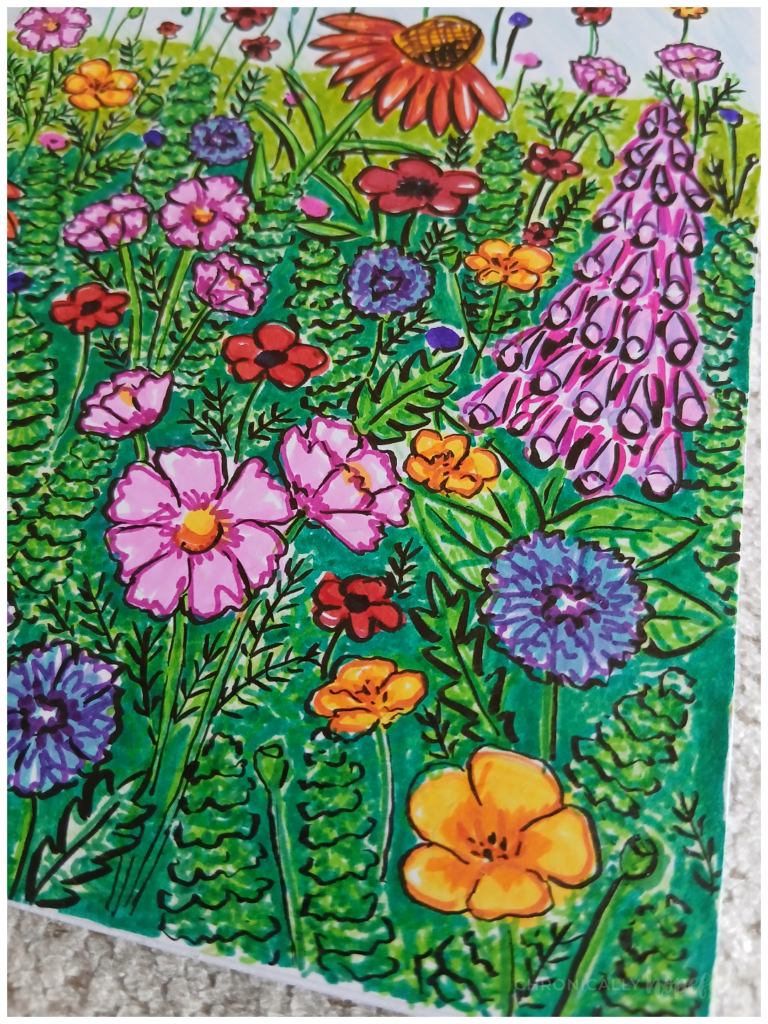 Adding black outlines to drawn flowers