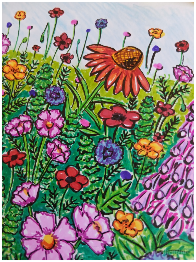 Adding black outlines to drawn flowers