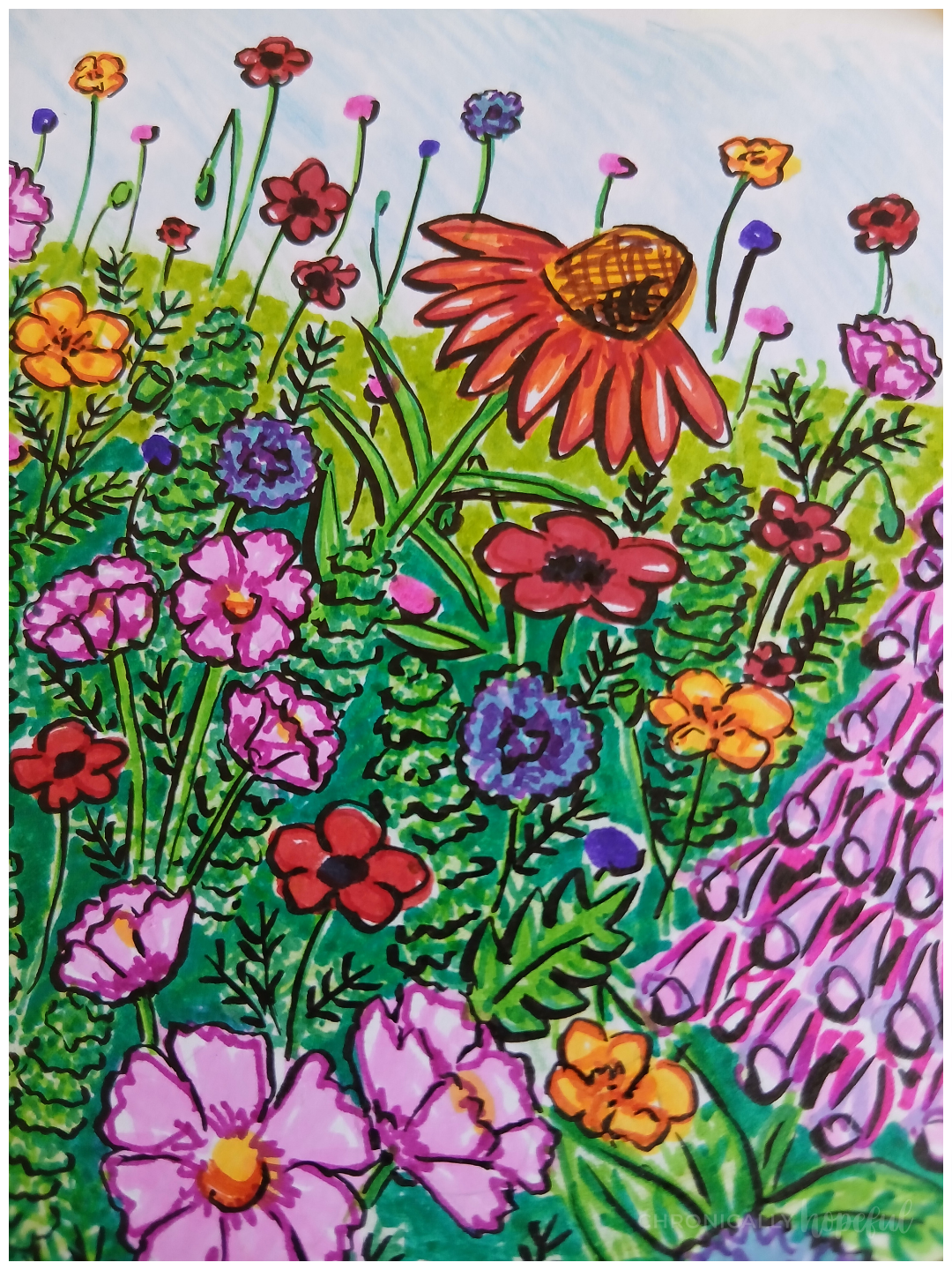 Adding black outlines to drawn flowers