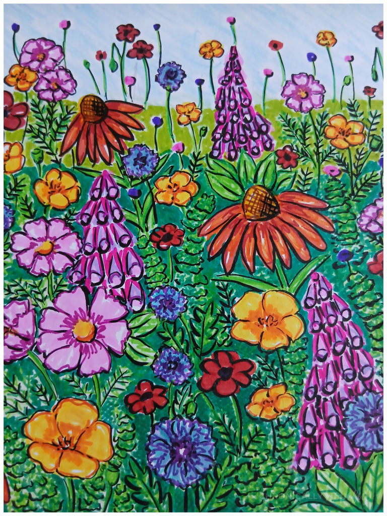 Completed Summer Blooms Wildflower Meadow