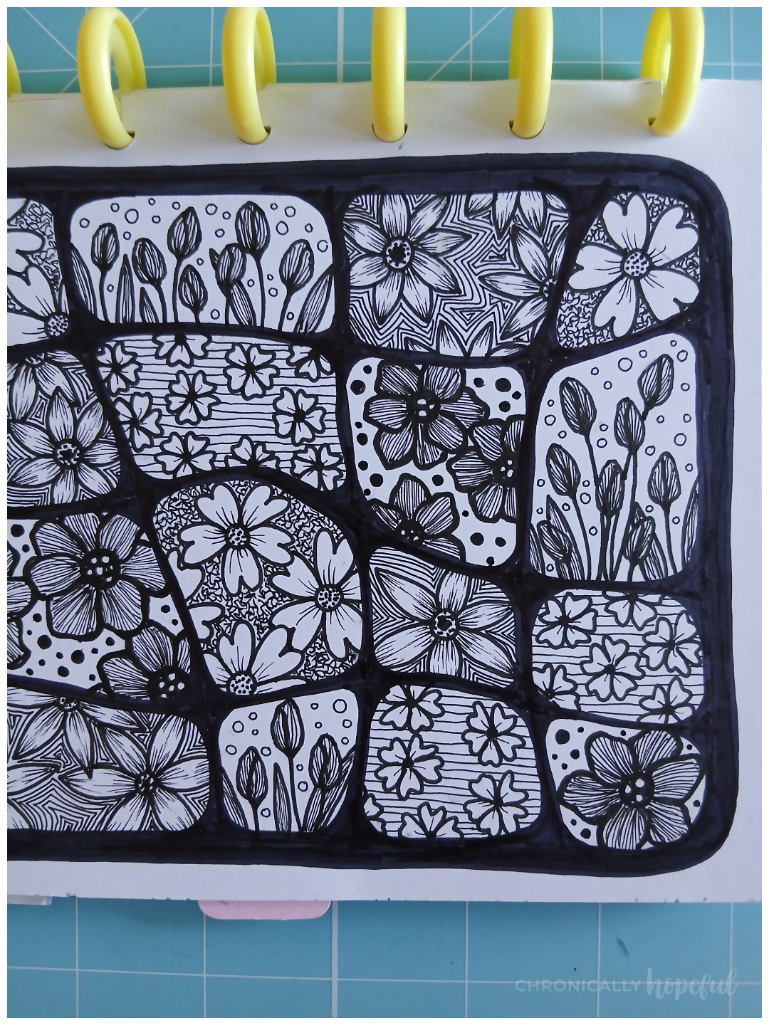 Botanical line drawings with fineliner
