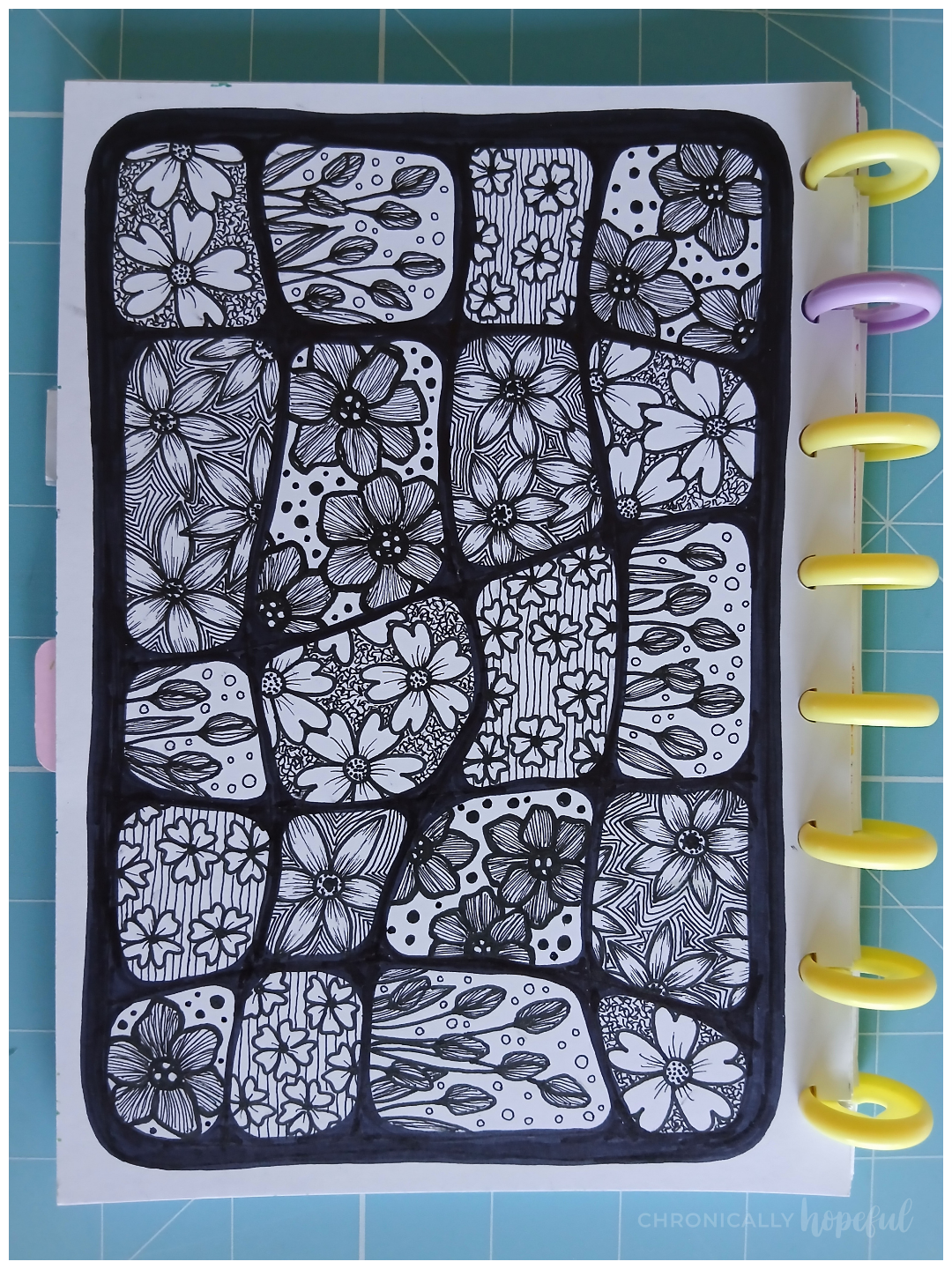 Botanical line drawings with fineliner