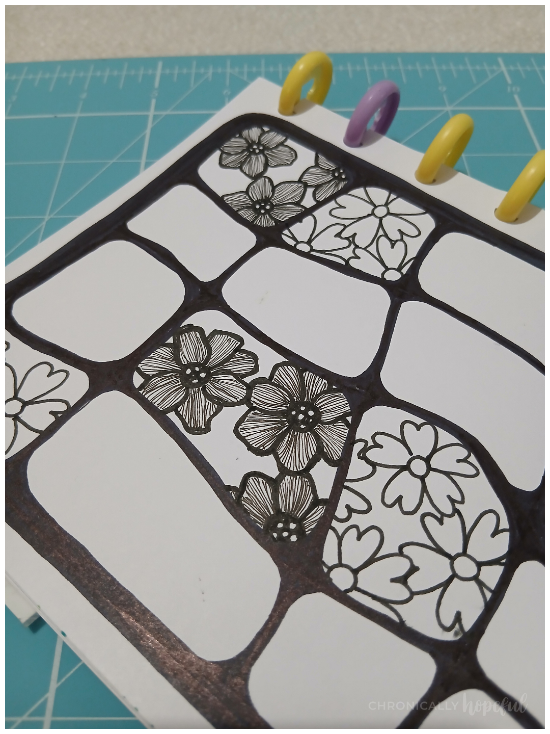 Botanical line drawings with fineliner