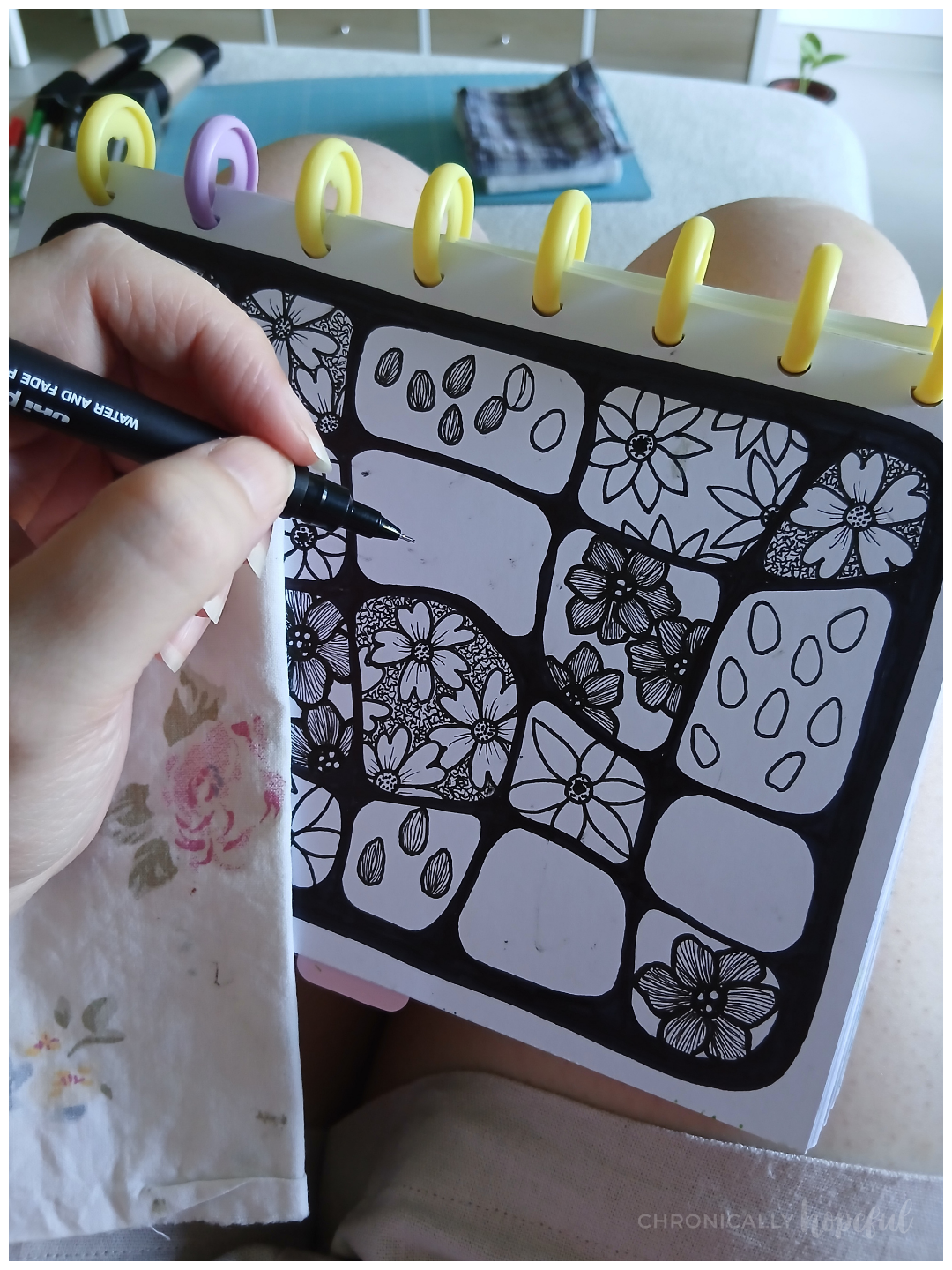 Botanical line drawings with fineliner