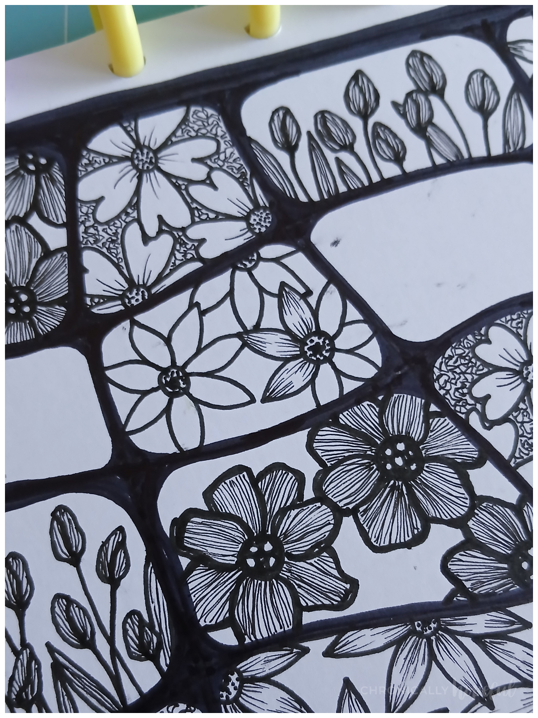 Botanical line drawings with fineliner